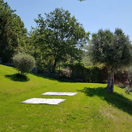 Radici